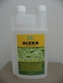 /album/fotogalerie-alexa/alexa-1l-jpg1/